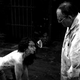 Illustration for article titled emHuman Centipede II/em is about the horrors of fanfic